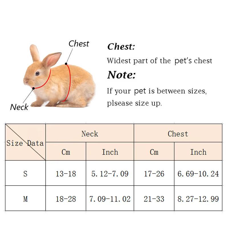 Fournitures de réveil en plein air pour petits animaux, style dessin animé, ensemble SFP et laisse, lapin, overd'inde, accessoires pour animaux de compagnie
