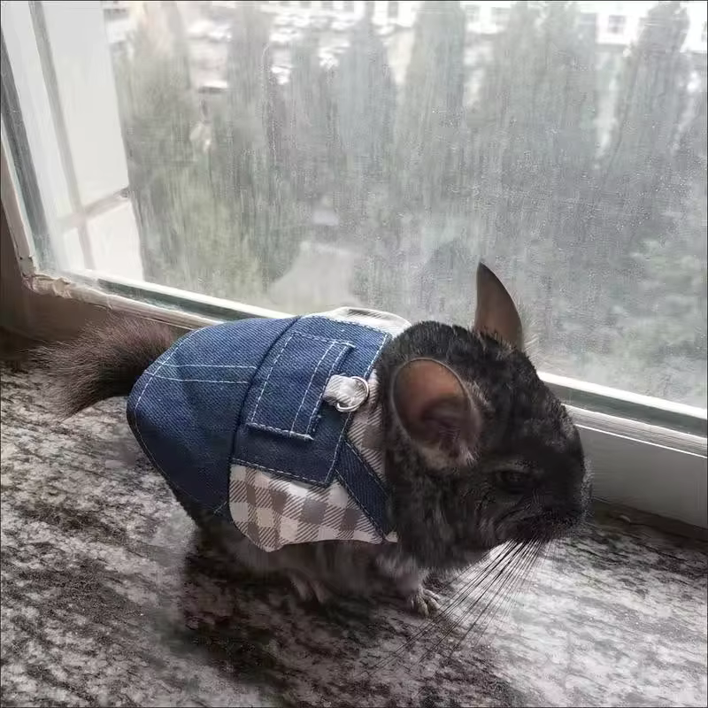 Harnais de promenade pour petits animaux : chinchillas, lapins, cochons d'Inde, lapins hollandais, lapins à oreilles tombantes – Accessoires en jean pour animaux de compagnie