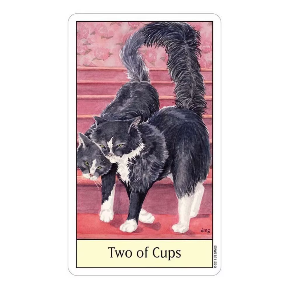 Jeux de cartes Tarot œil de chat 12x7 cm