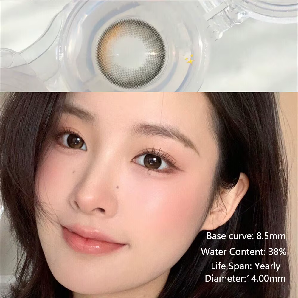 Lentilles de contact annuelles Morningcon Monday marron pour les yeux